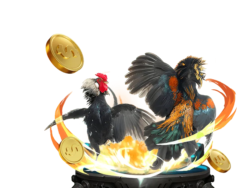 Giới thiệu về nền tảng 555win tai app